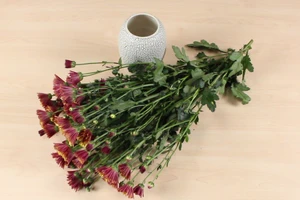 Mẹo Hay Dễ Làm: Mẹo triệt tiêu mùi hôi trong nhà 