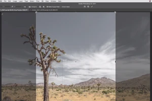 Adobe giới thiệu loạt hướng dẫn Photoshop cực đơn giản