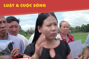 Đừng để lỡ dự án xây trường ở quận 12