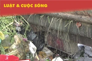 Bô rác ở Thủ Đức bốc mùi nồng nặc, dân chịu không thấu!