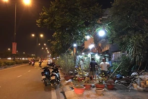 Đêm 30, người dân TP.HCM đi săn mai giá rẻ