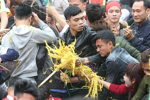 Giẫm đạp cướp lộc ở hội Rước cây bông