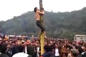 Nam thanh niên ngã trọng thương khi trèo cây chuối