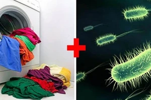 Trẻ em lây bệnh tình dục từ… máy giặt