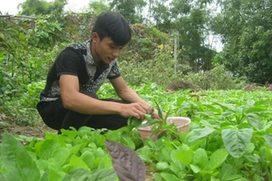 Thủ khoa chưa một lần học thêm!