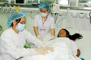 Đi cắt cỏ bò, bị ong vò vẽ đốt hơn 140 mũi!