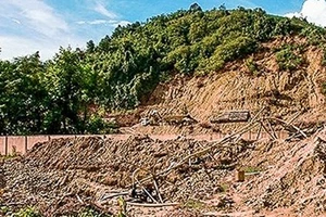 Hiệu trưởng phá nát sân trường để... tìm vàng