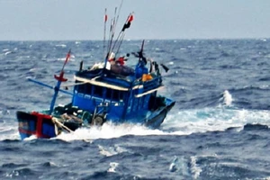 Vớt xác chết trôi giạt trên biển Cà Mau