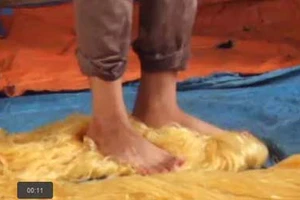 Cận cảnh công nghệ 'giẫm chân' sản xuất miến