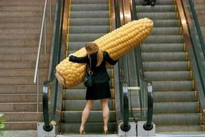 Có chồng như không, tội gì không ngoại tình?