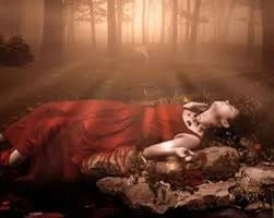 Đàn bà còn gì khi nhan sắc rụng?