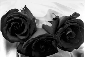 Valentine là đau như muối xát