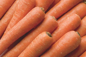 Lễ hội 'cậu bé' ở Anh