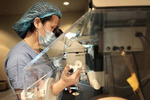 Lý do không có tinh trùng trong tinh dịch