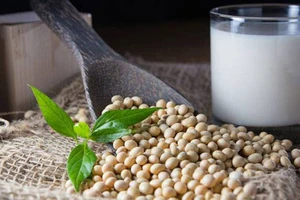 Sự thật về đậu nành và sức khỏe phòng the của quý ông