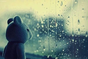 Những câu hỏi 'chết đứng'