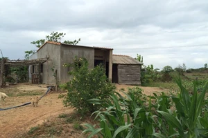 Vùng quê dậy sóng vì người đàn ông 51 tuổi đâm chết ‘tình địch’ vì ghen