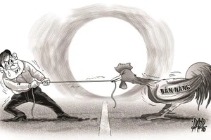 Đàn ông là… con gà trống?