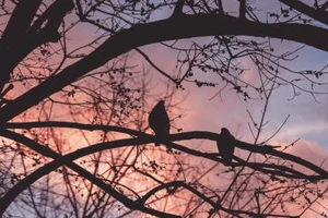 Tuổi cạn, rồi tình cũng cạn theo…