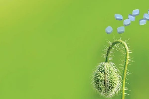 Các đấng mày râu hãy cảnh giác!