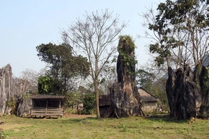 Khi Hollywood bấm máy, nơi vô danh được thế giới biết đến