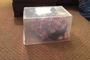 Những màn trốn tìm đáng yêu không thể tả của trẻ con