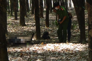Một người đàn ông nghi tự thiêu trong rừng cao su