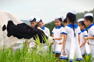 Hành trình 40 năm Giấc mơ sữa Việt