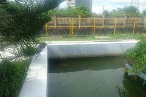 Hệ thống xử lý nước thải nhà máy Coca-Cola VN đạt chuẩn