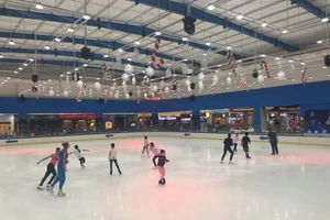 Giải trượt băng nghệ thuật Việt Nam - Cúp Vincom