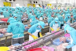 Southvina - Dấu ấn 10 năm