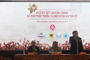 Hỗ trợ phát triển cà phê Buôn Ma Thuột