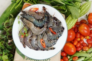 Đất phơi 3 năm mới trồng được rau Co.op Organic