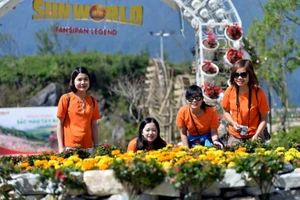 Lạc lối vào xứ hoa Sun World Fansipan Legend
