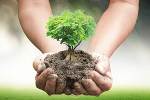 Sống hài hòa với thiên nhiên