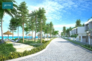 Theo chân đại gia về biển sống ...“Mộc” ​