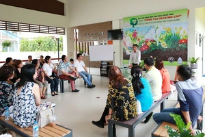 Để có một tác phẩm cây cảnh độc đáo