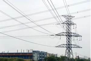 Đóng điện đường dây 220kV Phú Lâm – Bình Tân
