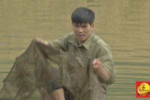 Biến cố của một gia đình nghèo ở Ngân Sơn 