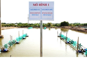 Thí điểm thành công hỗ trợ tiết kiệm điện hộ nuôi tôm