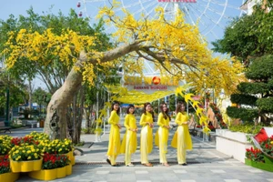 Không khí tưng bừng khắp khu du lịch giải trí Sun World