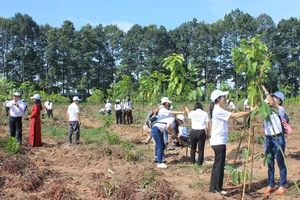 Vedan đồng hành tuần lễ Đồng Nai Xanh 2018