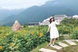 Đến Sun World Fansipan Legend giải nhiệt cơn khát mùa hè