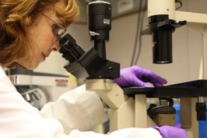 Similac HMO - Xây dựng hệ miễn dịch khỏe mạnh cho trẻ