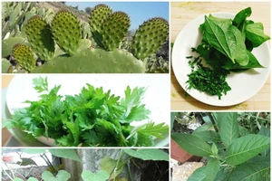 5 bài thuốc chữa thoái hóa cột sống lưng