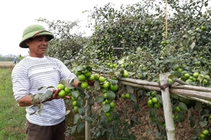 Giải pháp tin cậy để phát hiện hàng giả