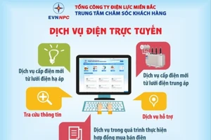 EVNNPC: Khách hàng hưởng lợi từ dịch vụ điện trực tuyến