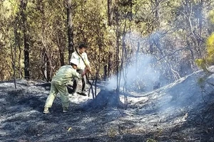 Lính truyền tải căng mình dập lửa