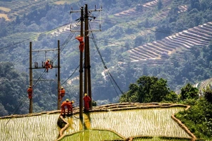 Nhìn lại lưới điện nông thôn theo nghị quyết của Quốc hội