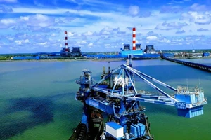 Nhiệt điện Duyên Hải 3 tính phương án bổ sung than nhập khẩu